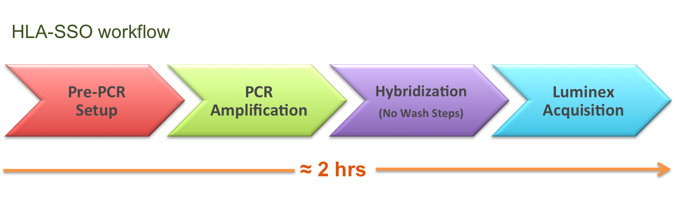 HLA SSO WorkFlow3